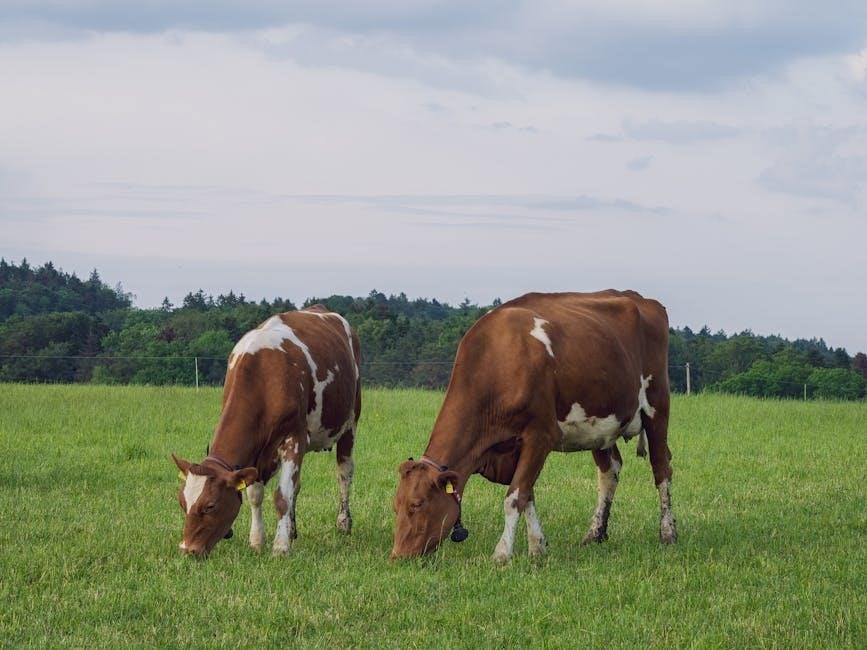 open farm feeding guide