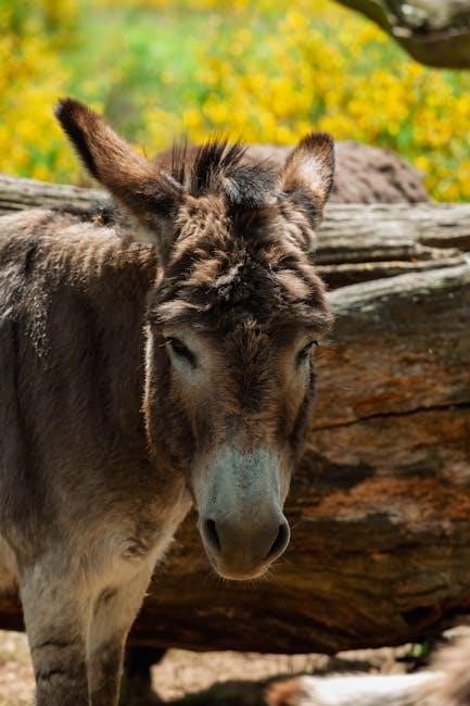 pin the tail on the donkey printable pdf