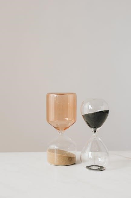 taylor timer instructions
