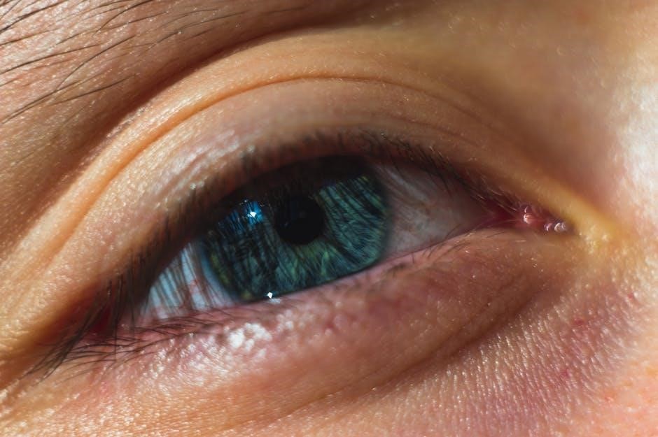 retina glossary pdf