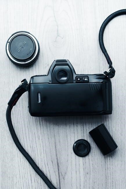 manual d3300 nikon